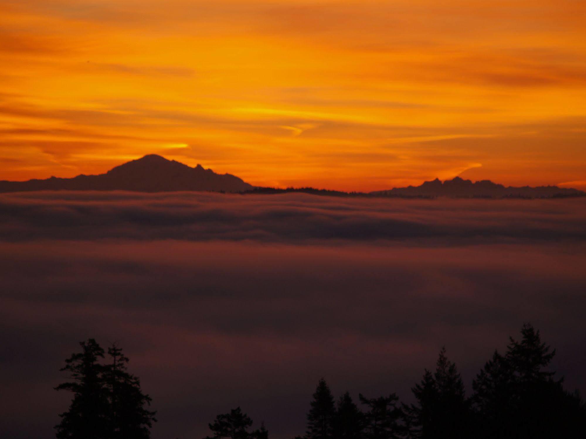 Gibralter Rock Ocean View B&B Nanaimo Exterior foto